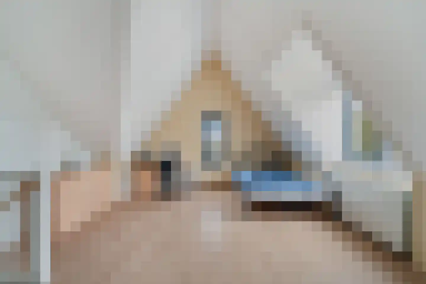 Slufterhof 33 Berkel en Rodenrijs thumbnail 38