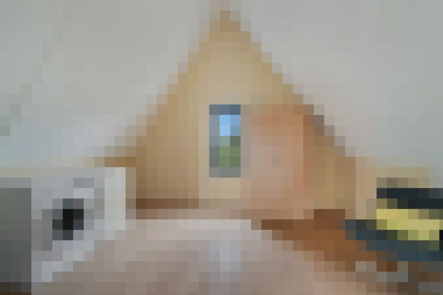 Slufterhof 33 Berkel en Rodenrijs thumbnail 39