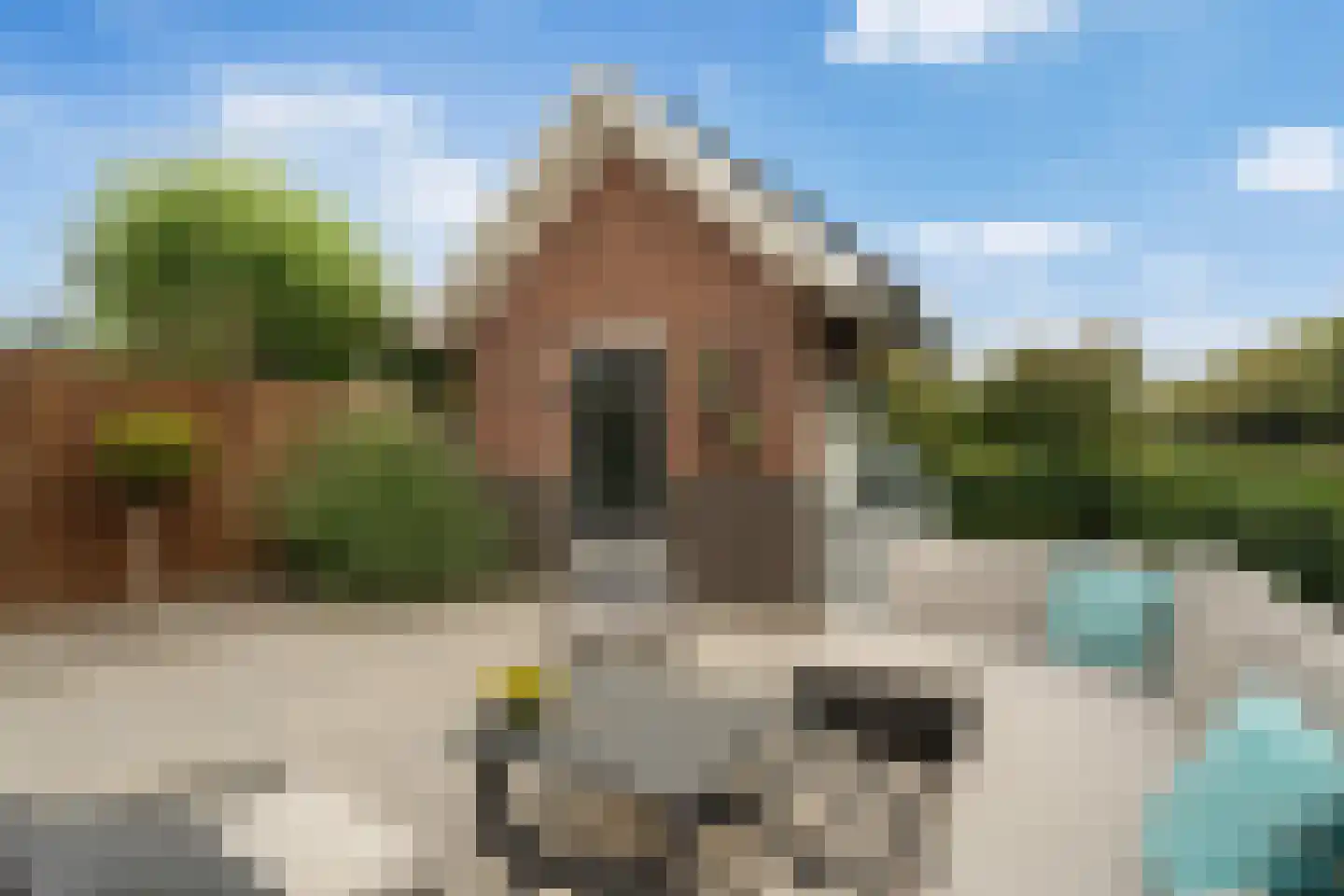Slufterhof 33 Berkel en Rodenrijs thumbnail 45