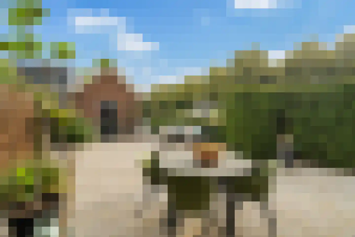 Slufterhof 33 Berkel en Rodenrijs thumbnail 5