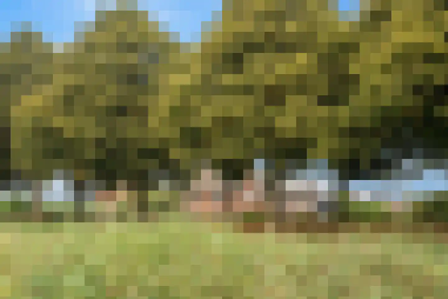 Slufterhof 33 Berkel en Rodenrijs thumbnail 51