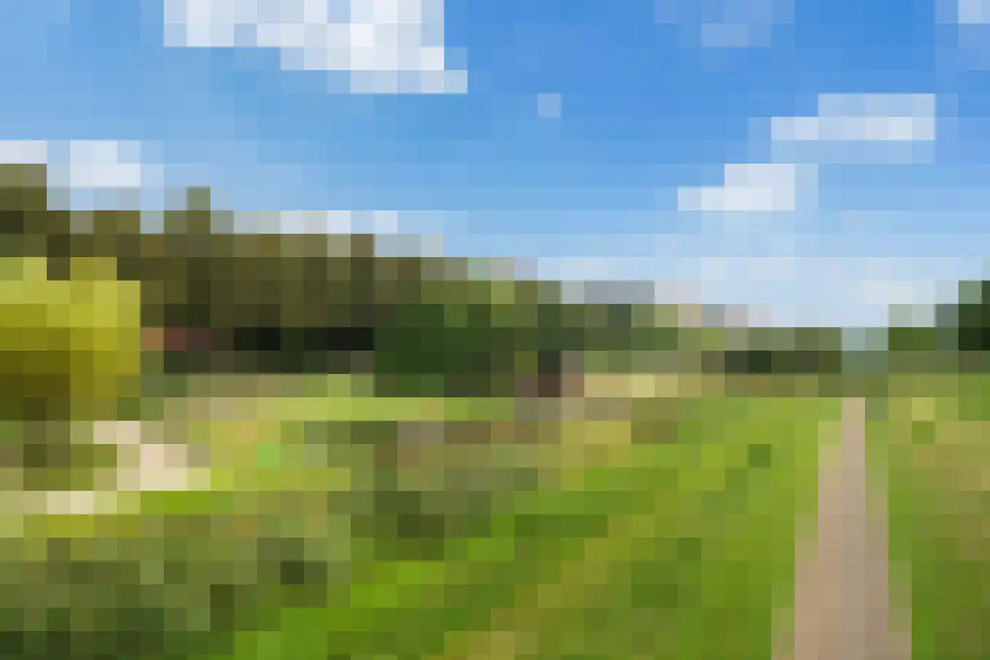 Slufterhof 33 Berkel en Rodenrijs thumbnail 53