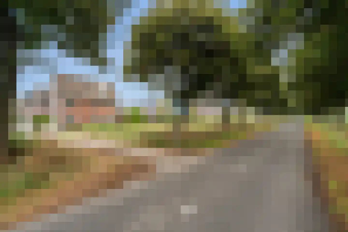 Slufterhof 33 Berkel en Rodenrijs thumbnail 54