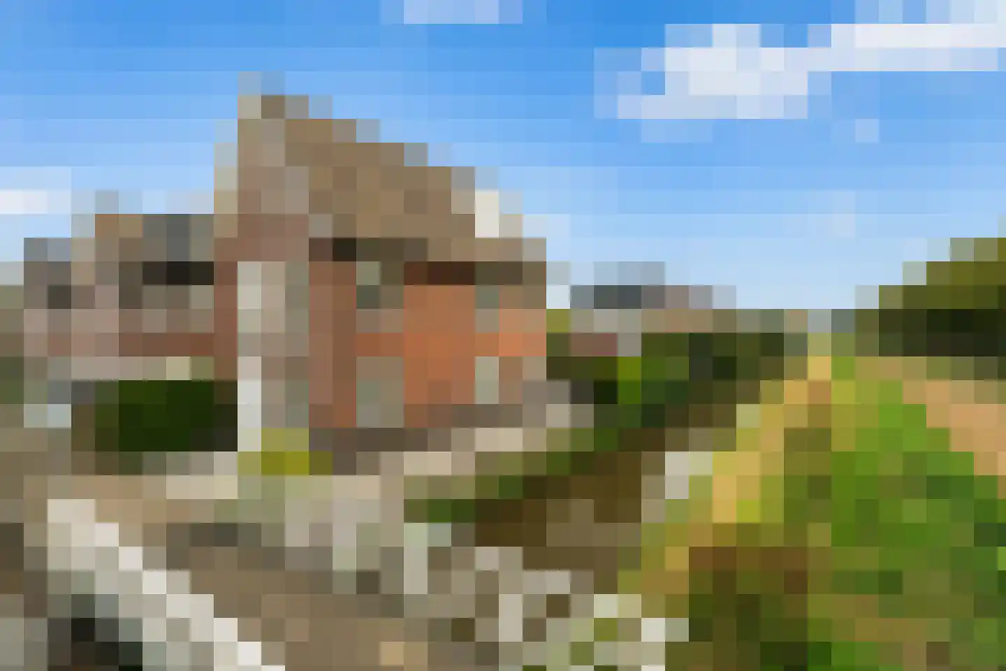 Slufterhof 33 Berkel en Rodenrijs thumbnail 6