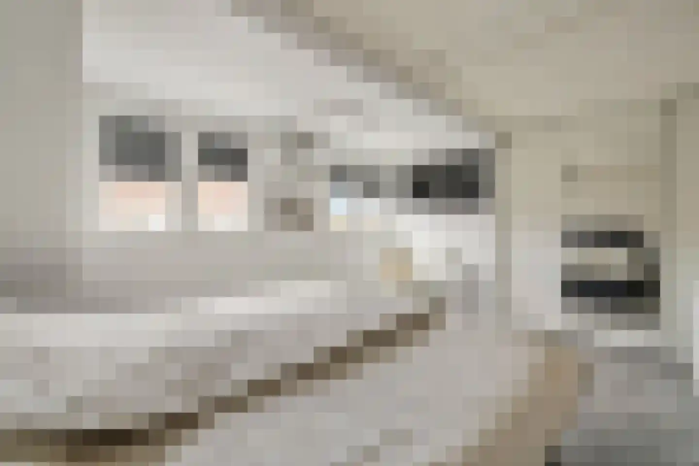Slufterplantsoen 51 Almere thumbnail 16