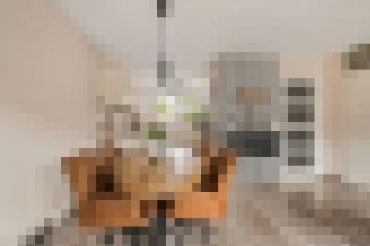 Slufterplantsoen 51 Almere thumbnail 7