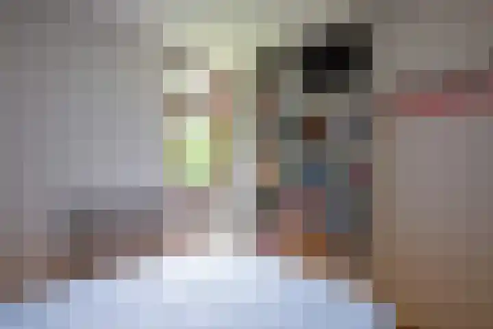 Slufterweg 12 De Cocksdorp thumbnail 14