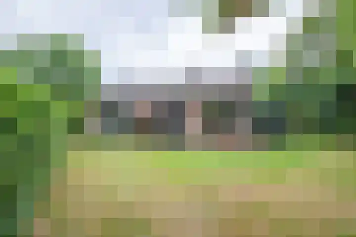 Slufterweg 12 De Cocksdorp thumbnail 33
