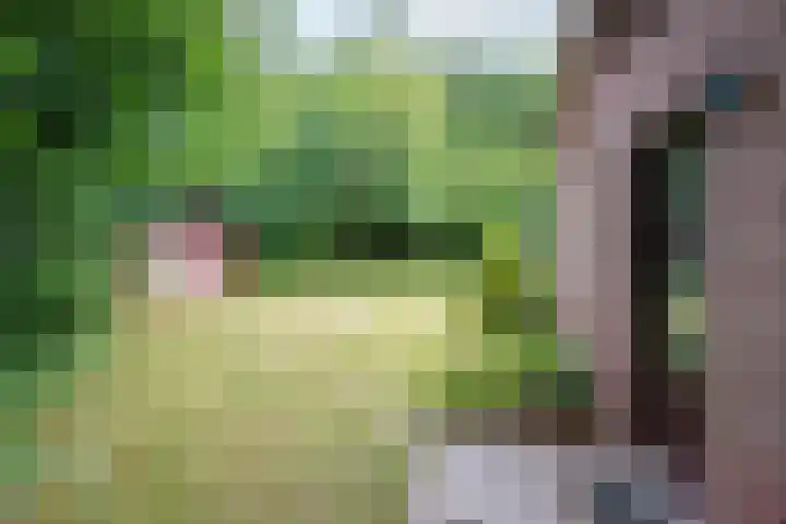 Slufterweg 190 De Cocksdorp thumbnail 22