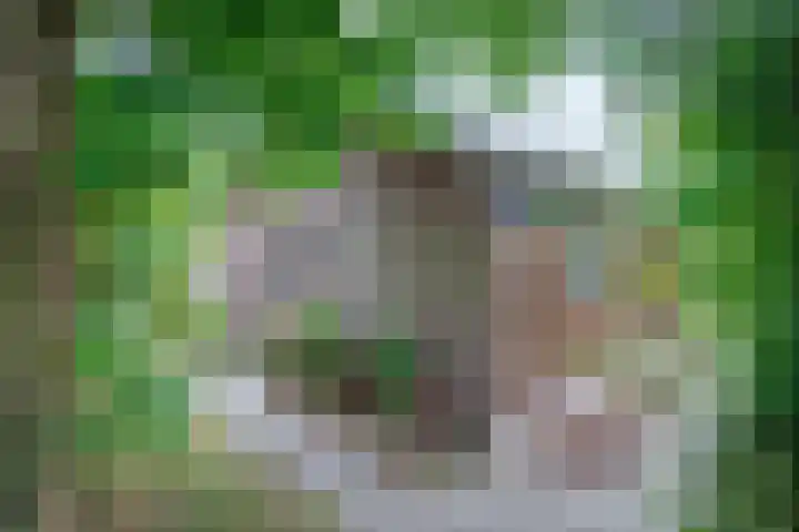 Slufterweg 190 De Cocksdorp thumbnail 23