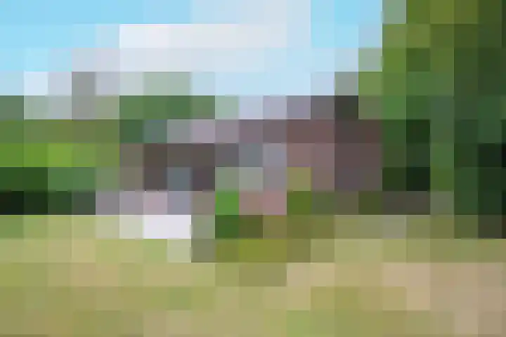 Slufterweg 190 De Cocksdorp thumbnail 25