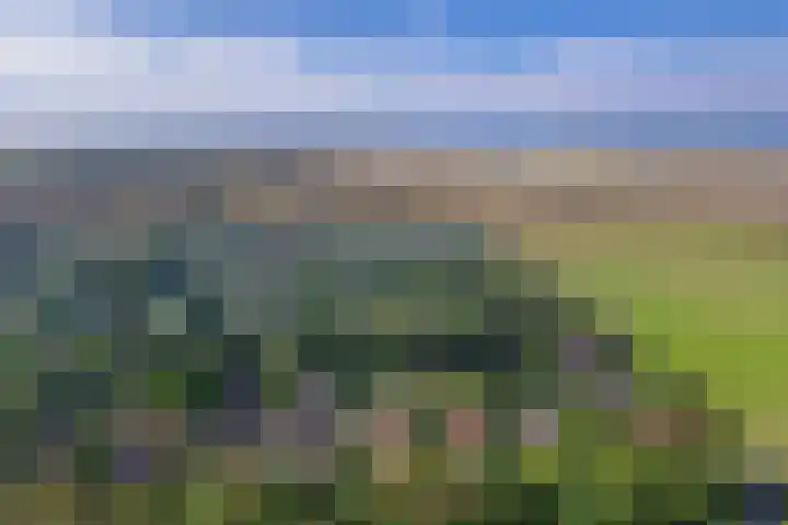 Slufterweg 190 De Cocksdorp thumbnail 30