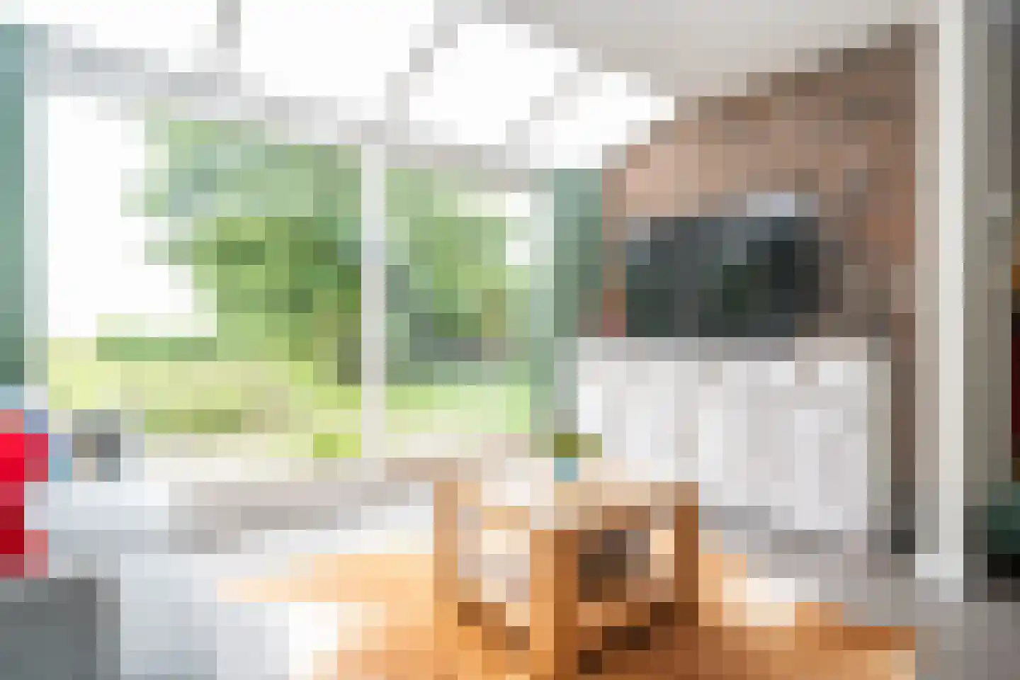 Slufterweg 221 De Cocksdorp thumbnail 15