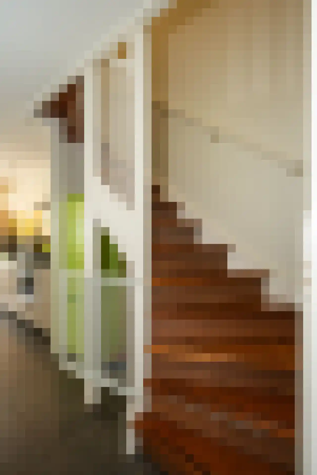 Slufterweg 221 De Cocksdorp thumbnail 18