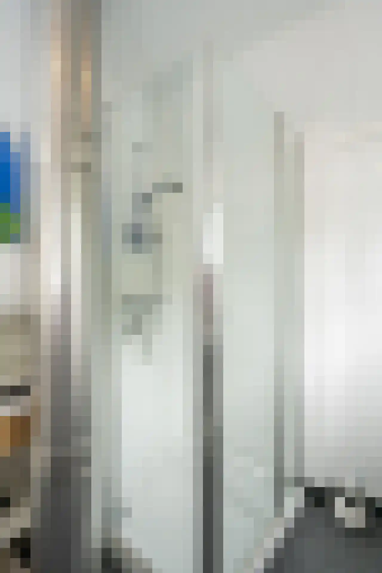 Slufterweg 221 De Cocksdorp thumbnail 27