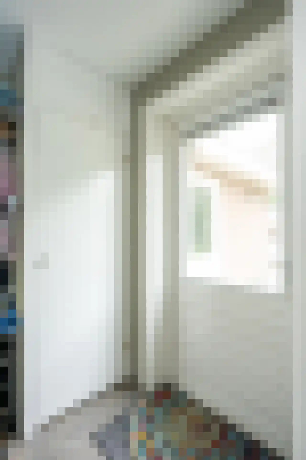 Slufterweg 221 De Cocksdorp thumbnail 32