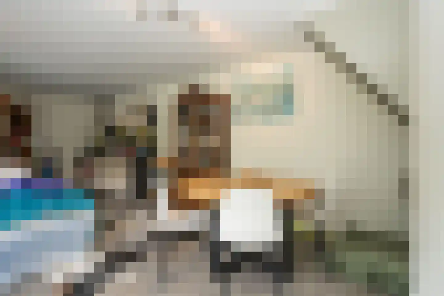 Slufterweg 221 De Cocksdorp thumbnail 33