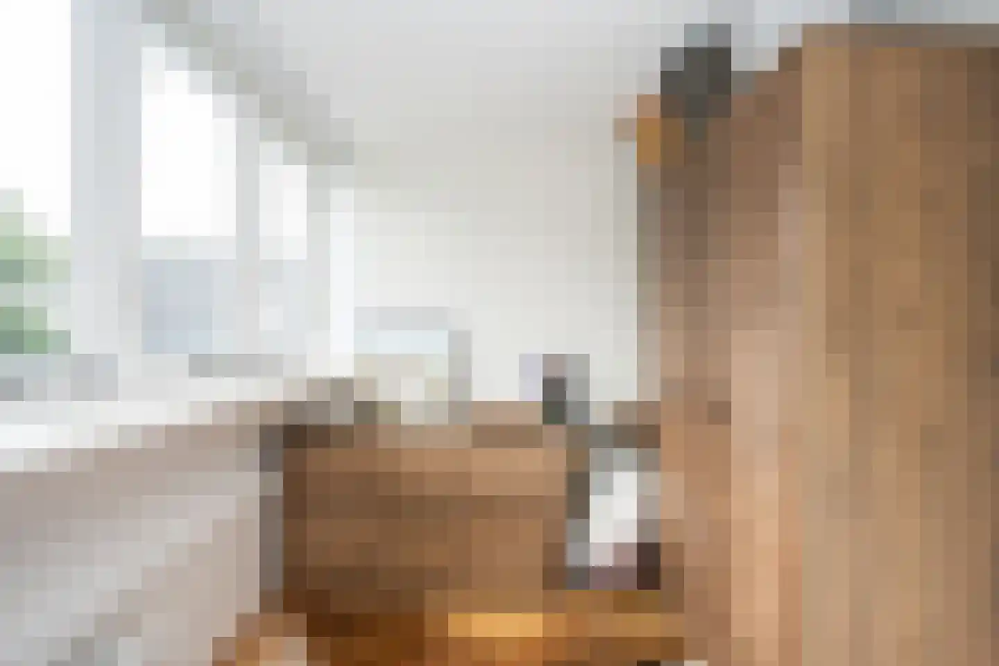 Slufterweg 221 De Cocksdorp thumbnail 37