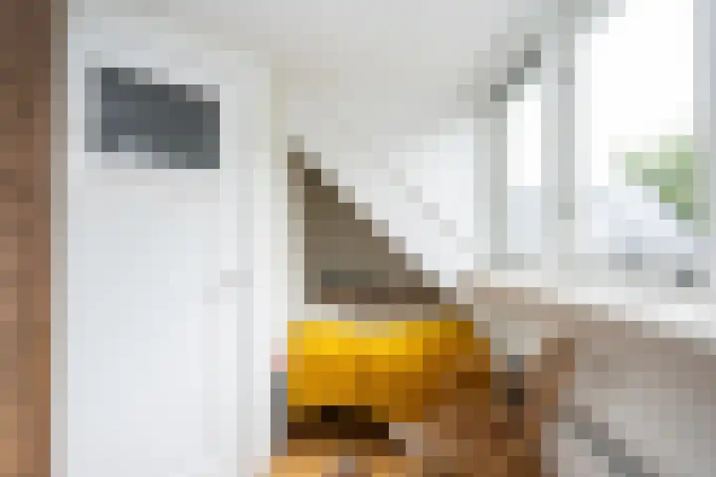 Slufterweg 221 De Cocksdorp thumbnail 38