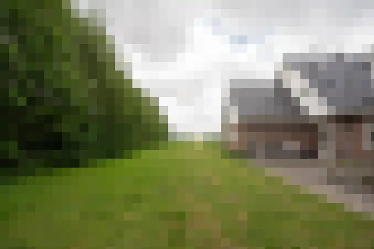 Slufterweg 221 De Cocksdorp thumbnail 41