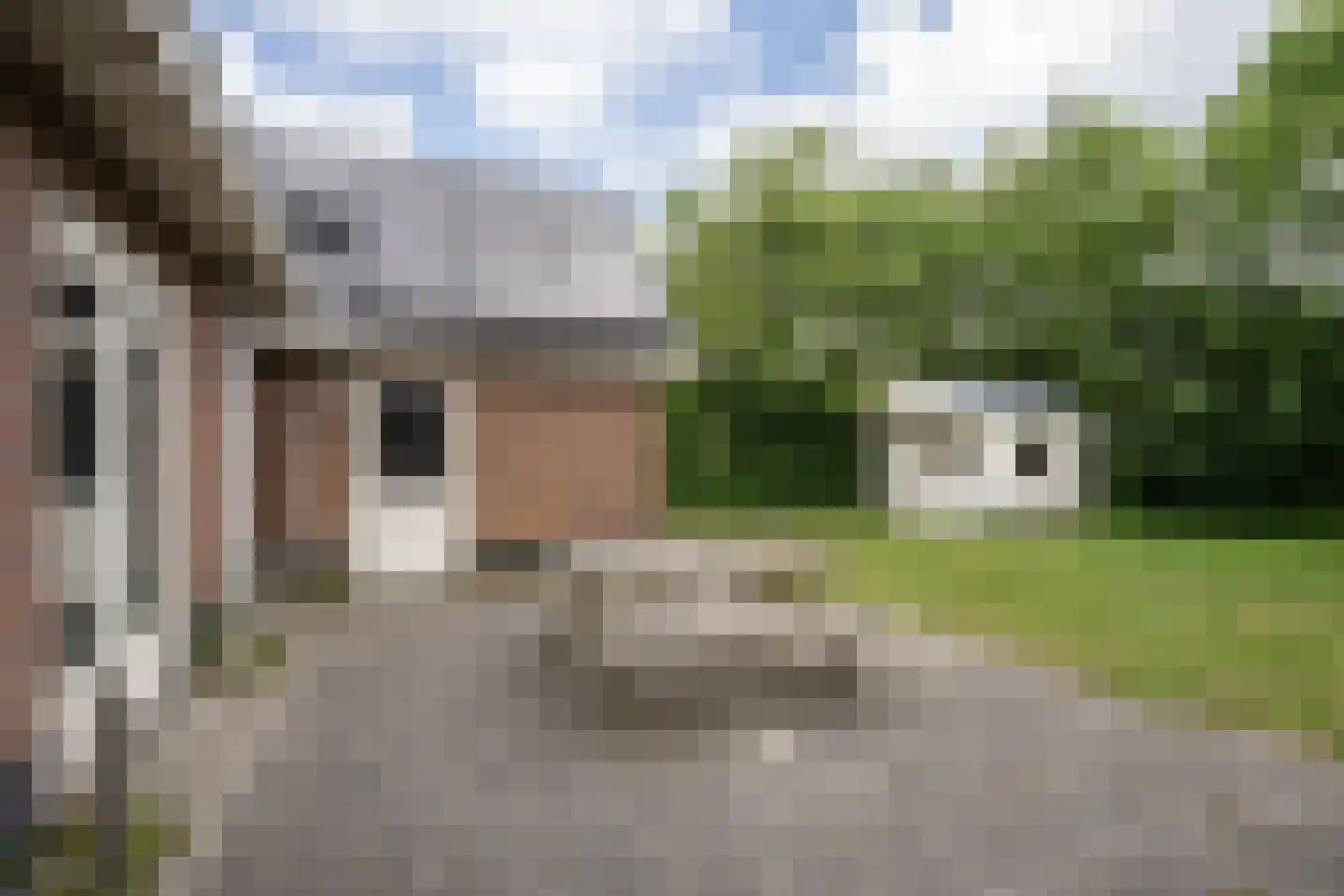 Slufterweg 221 De Cocksdorp thumbnail 42