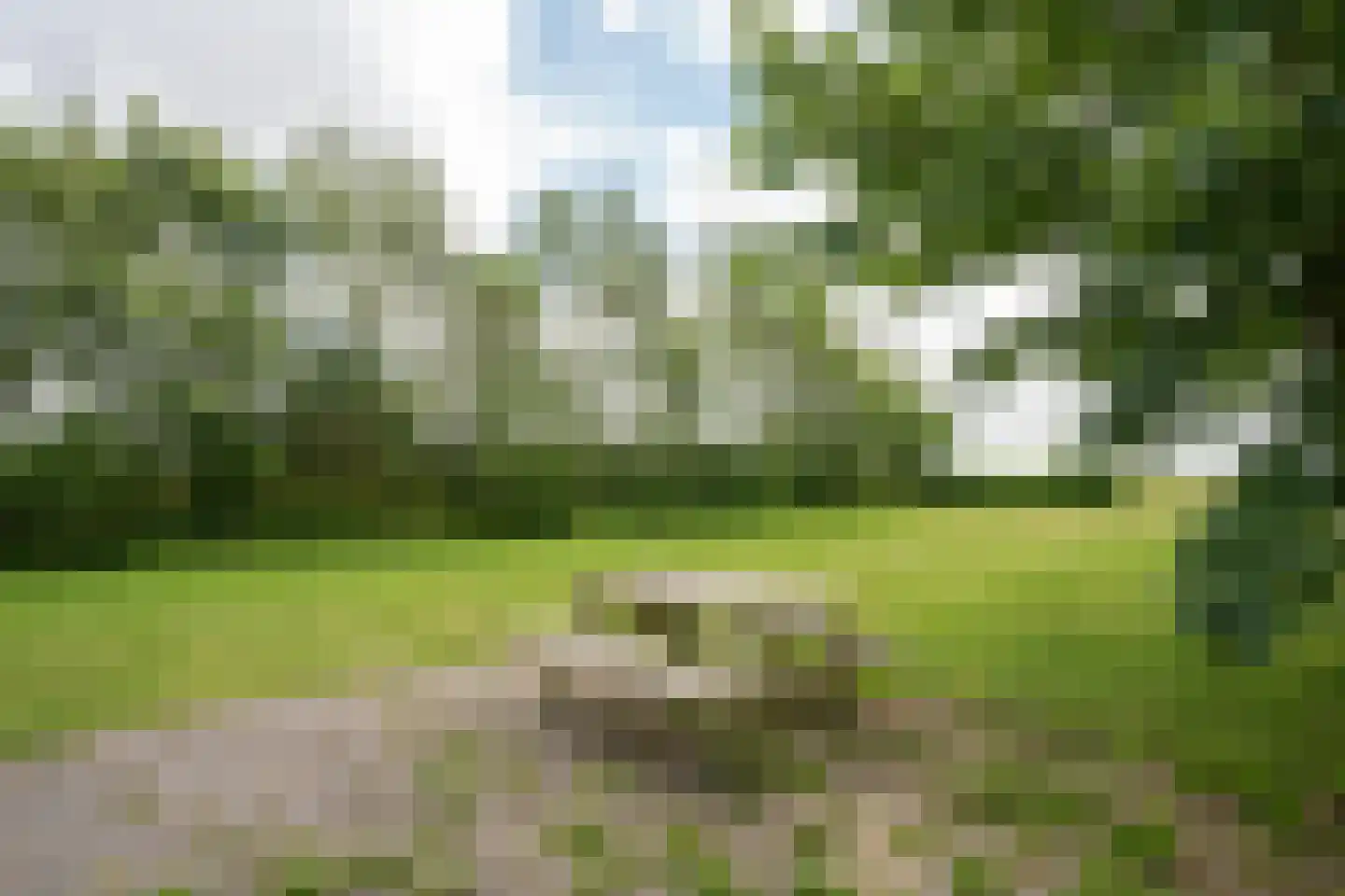 Slufterweg 221 De Cocksdorp thumbnail 43