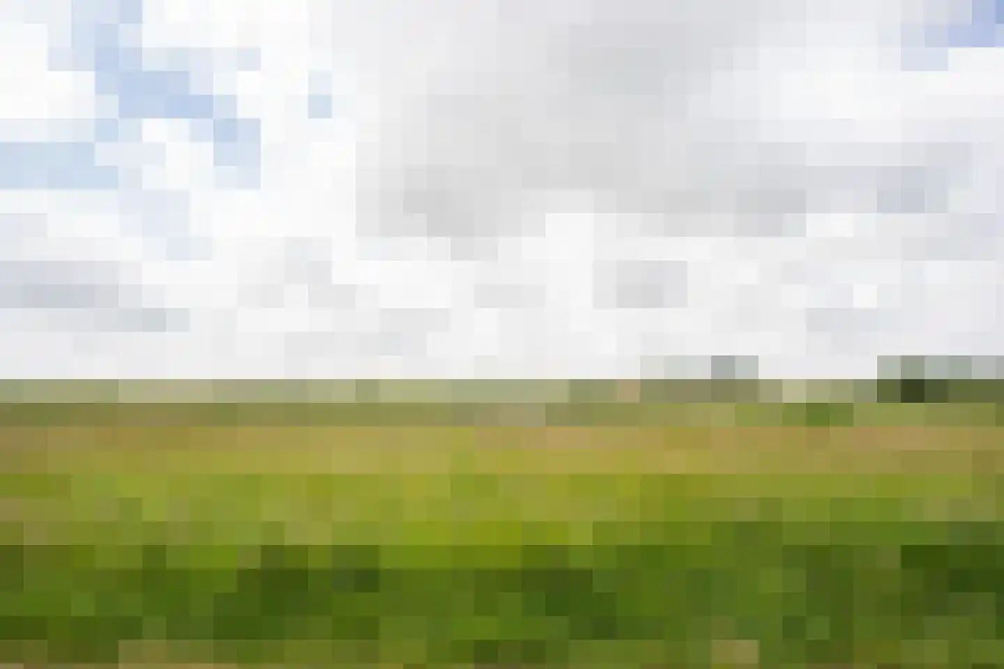 Slufterweg 221 De Cocksdorp thumbnail 44