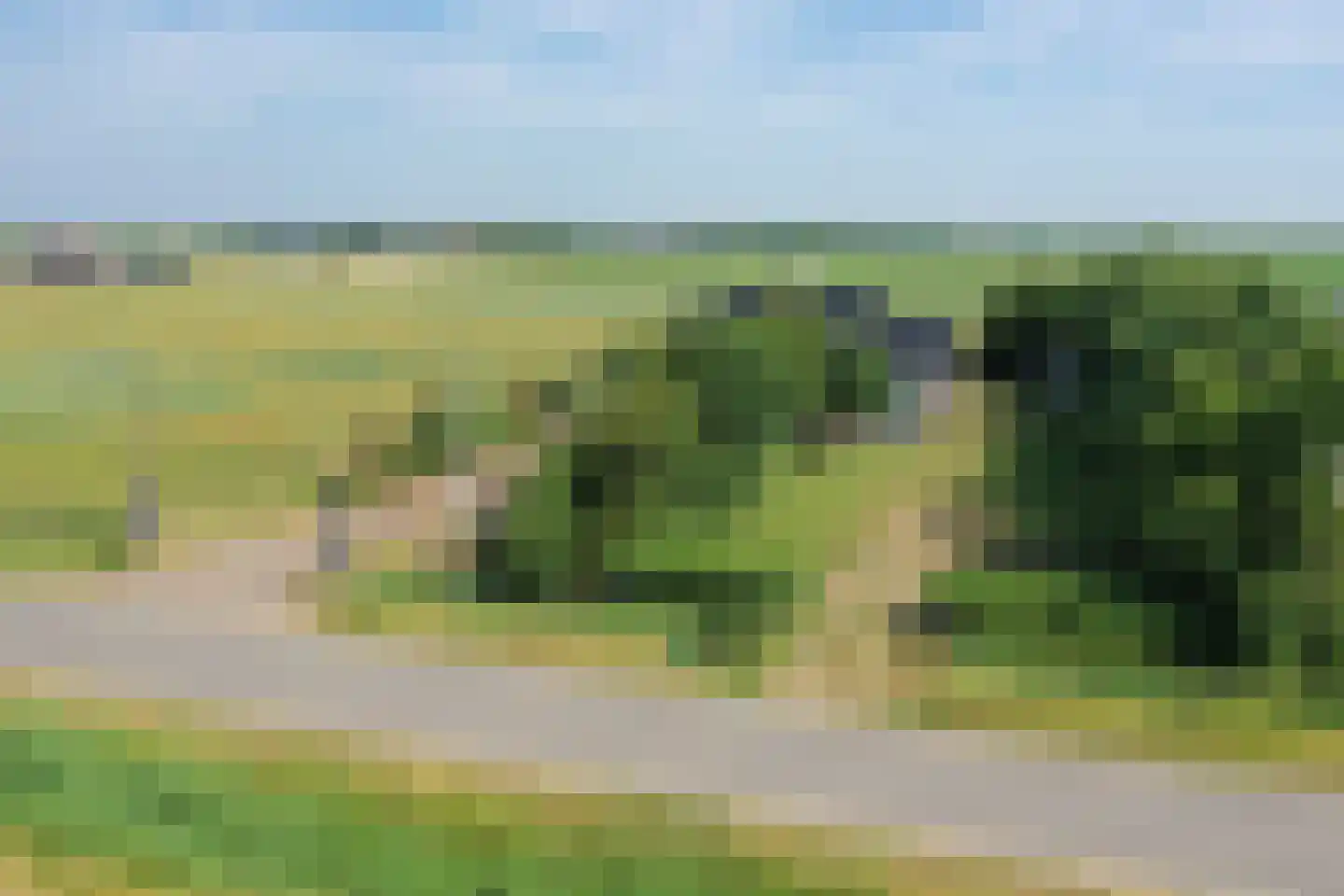 Slufterweg 221 De Cocksdorp thumbnail 47