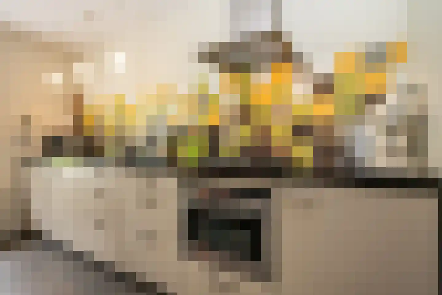 Slufterweg 221 De Cocksdorp thumbnail 5
