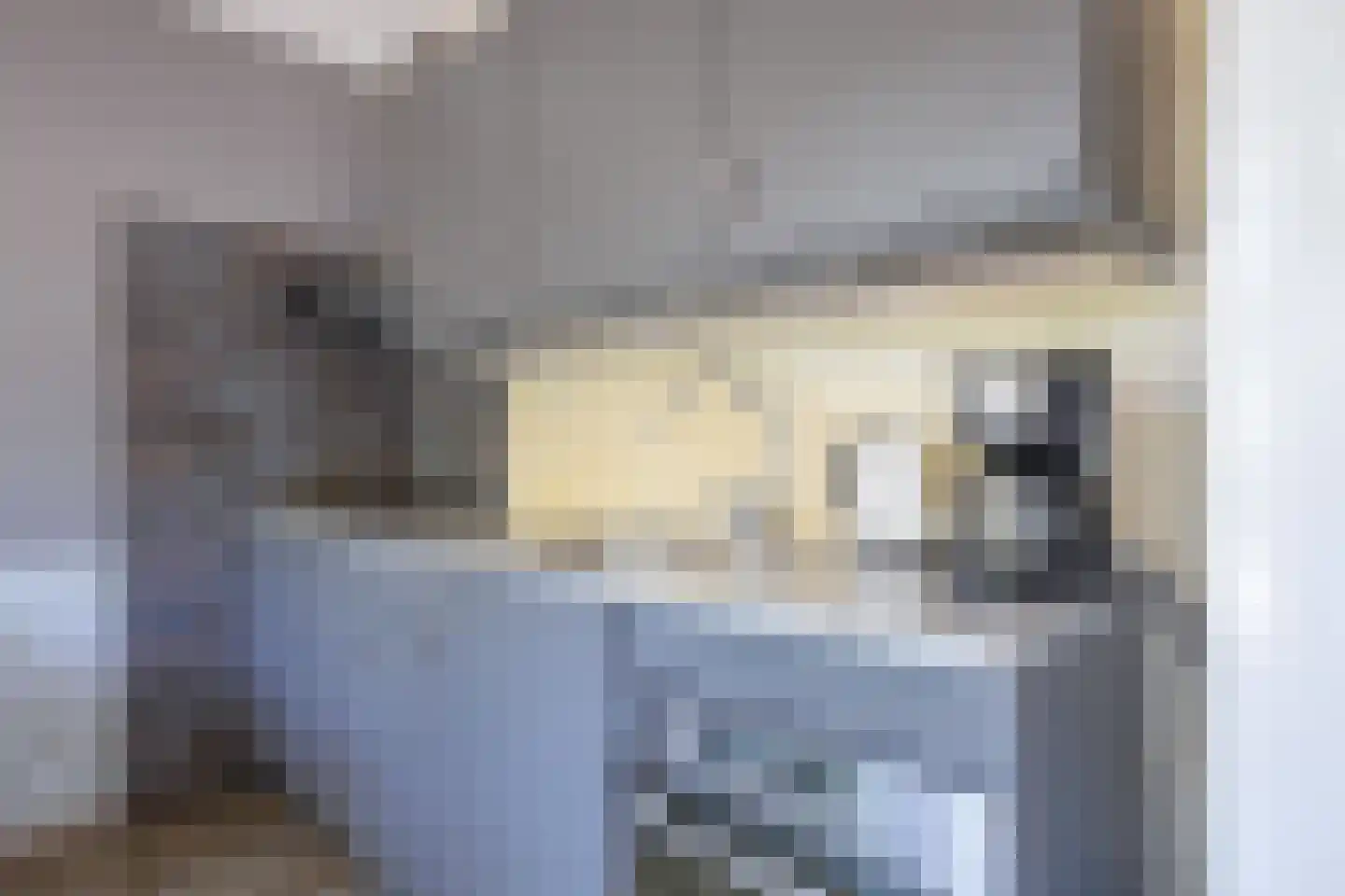 Slufterweg 4 De Cocksdorp thumbnail 11