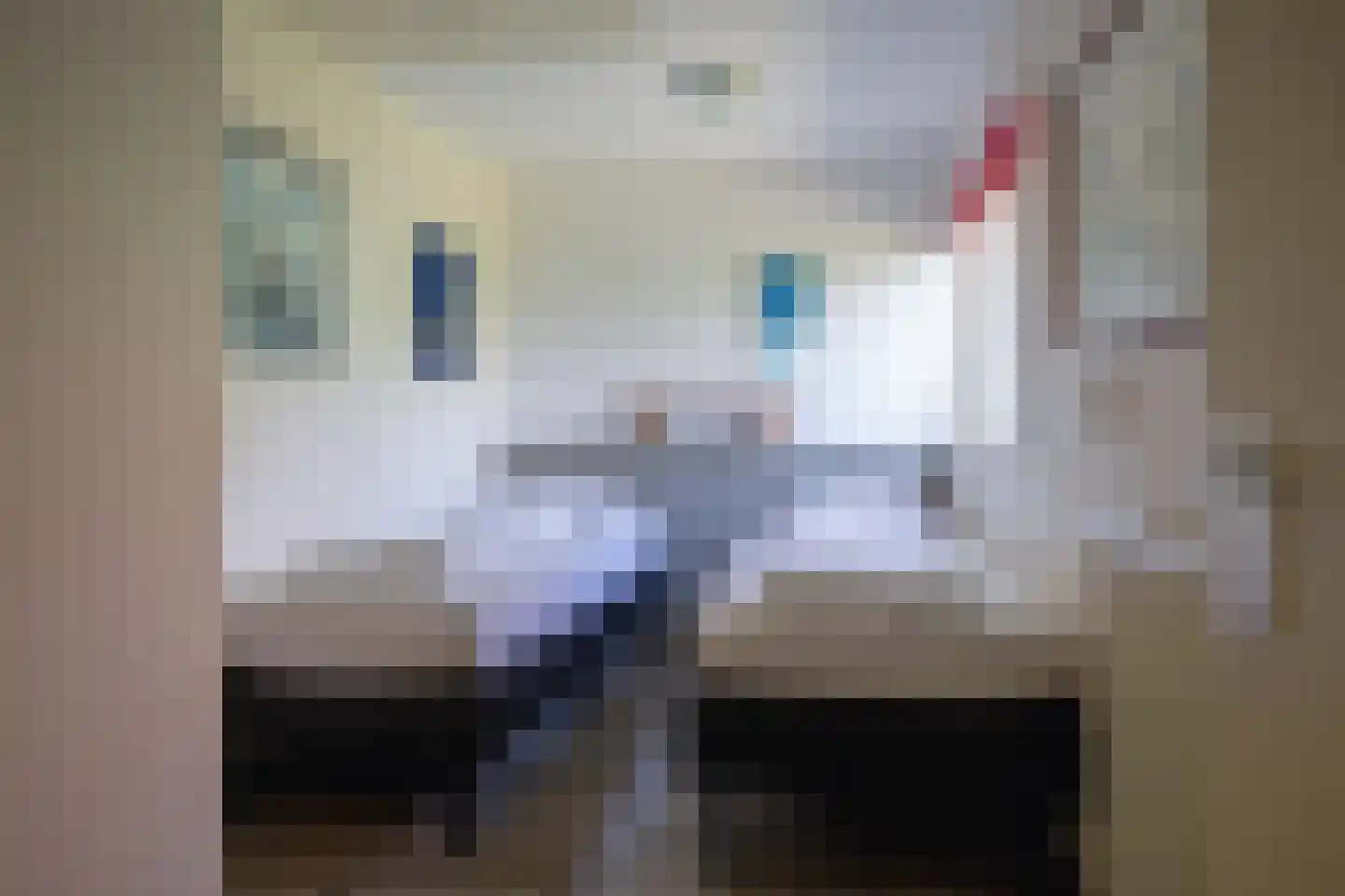 Slufterweg 4 De Cocksdorp thumbnail 15