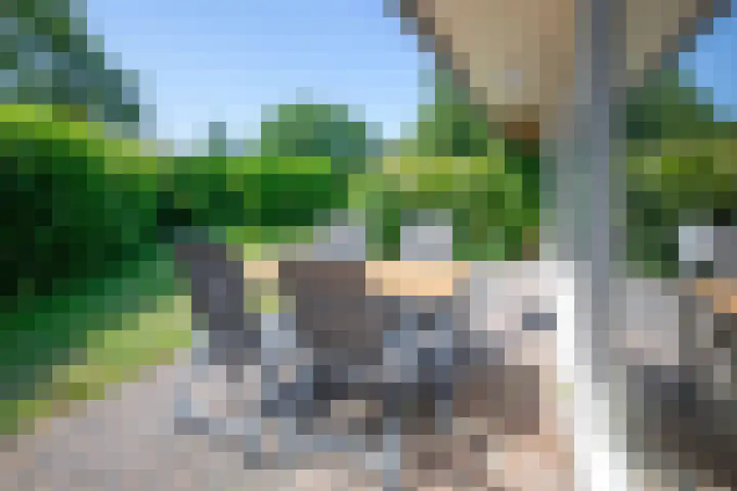 Slufterweg 4 De Cocksdorp thumbnail 20