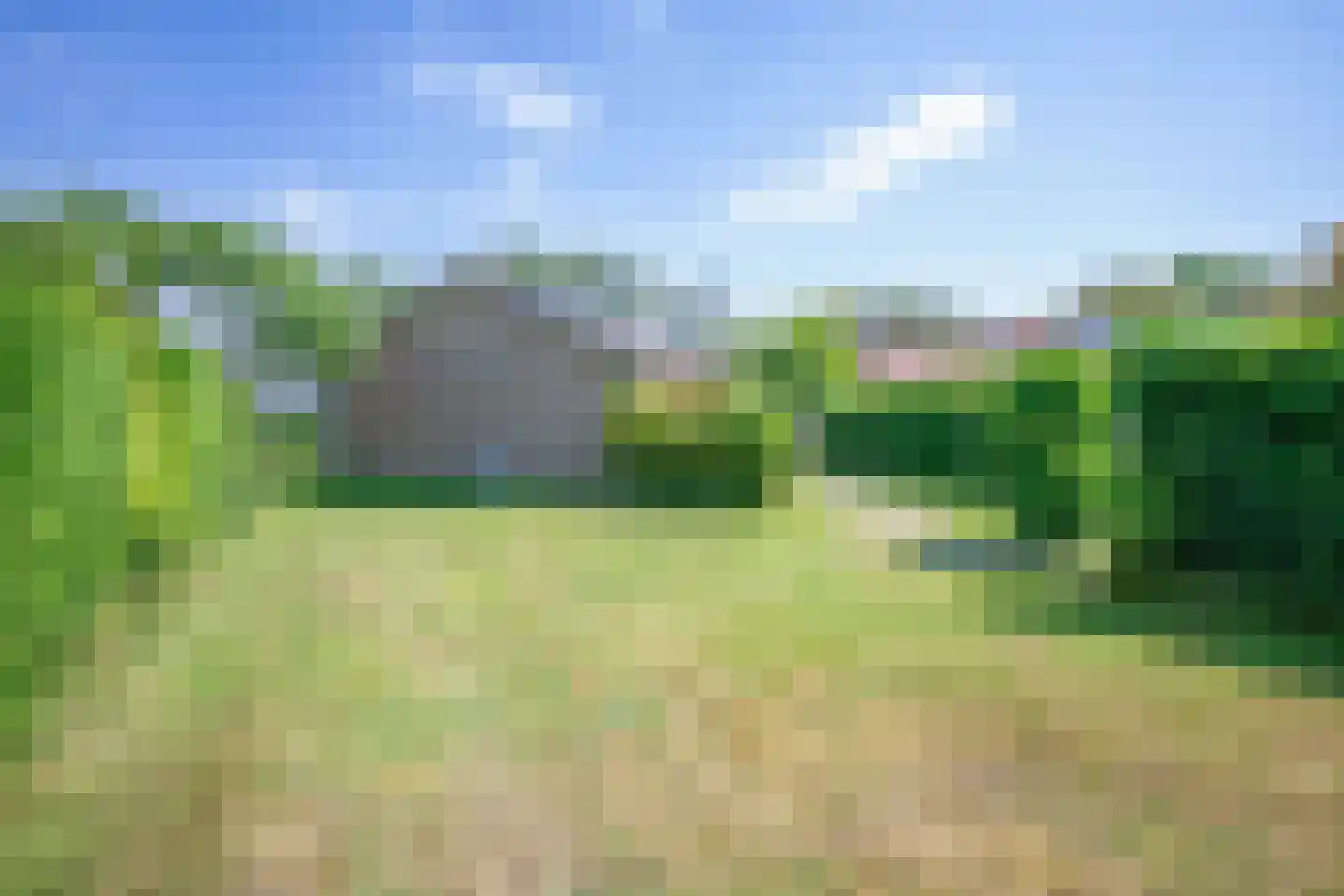 Slufterweg 4 De Cocksdorp thumbnail 22