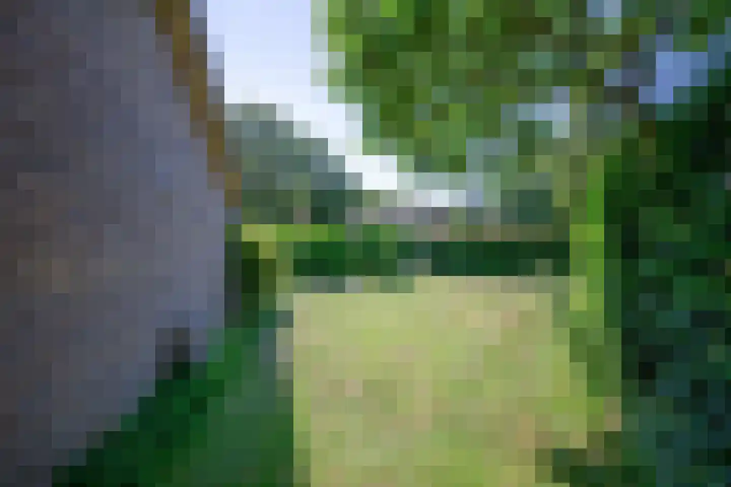 Slufterweg 4 De Cocksdorp thumbnail 24