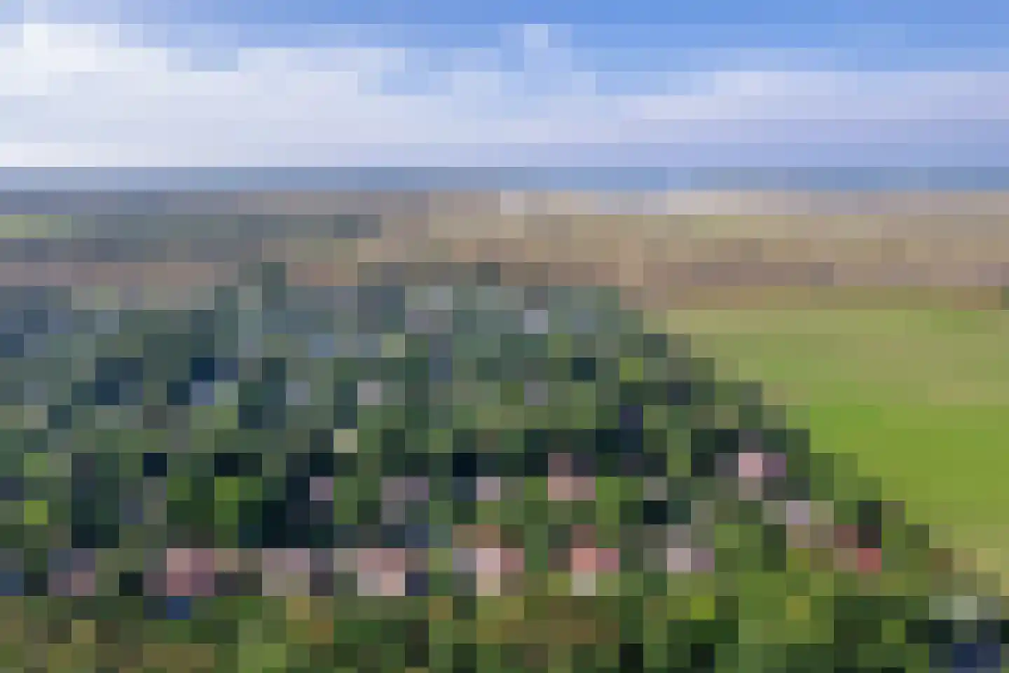 Slufterweg 4 De Cocksdorp thumbnail 28