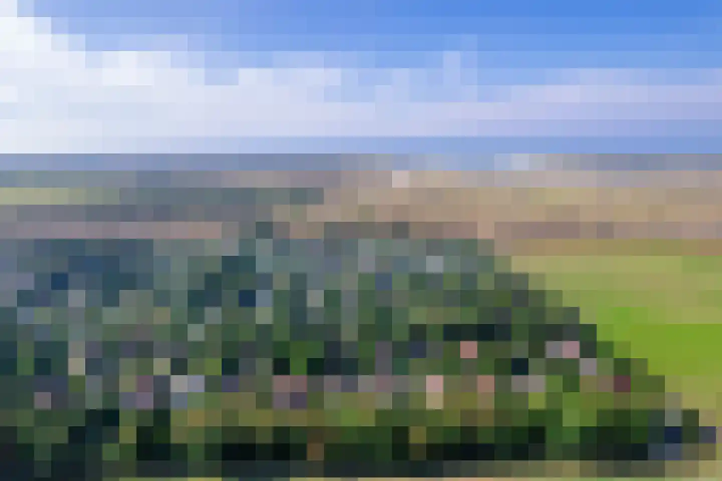 Slufterweg 4 De Cocksdorp thumbnail 30