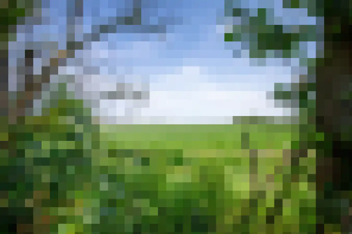 Slufterweg 4 De Cocksdorp thumbnail 4