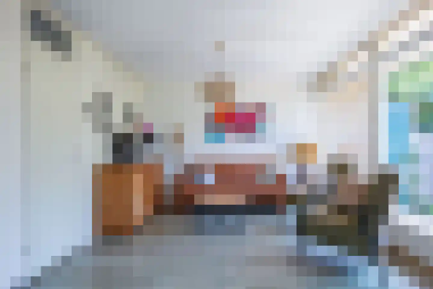 Slufterweg 4 De Cocksdorp thumbnail 7
