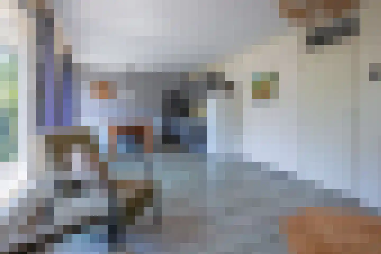 Slufterweg 4 De Cocksdorp thumbnail 8