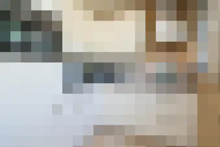 Slufterweg 64 De Cocksdorp thumbnail 10
