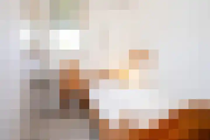 Slufterweg 64 De Cocksdorp thumbnail 13
