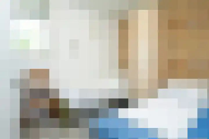 Slufterweg 64 De Cocksdorp thumbnail 15