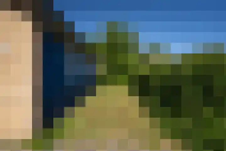 Slufterweg 64 De Cocksdorp thumbnail 20