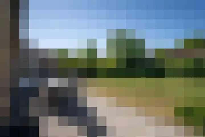 Slufterweg 64 De Cocksdorp thumbnail 21