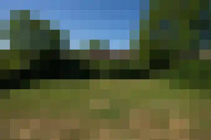 Slufterweg 64 De Cocksdorp thumbnail 22