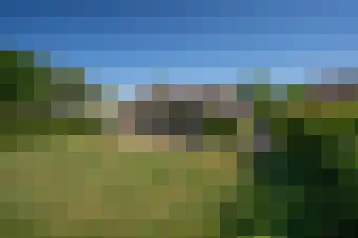 Slufterweg 64 De Cocksdorp thumbnail 23
