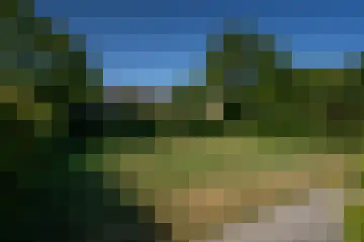Slufterweg 64 De Cocksdorp thumbnail 25