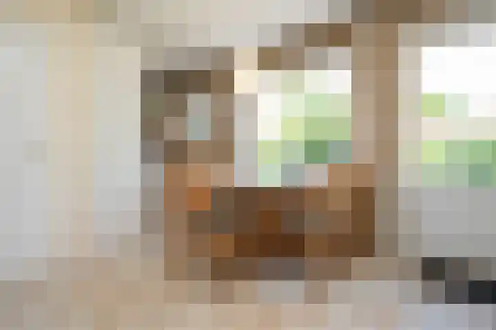 Slufterweg 64 De Cocksdorp thumbnail 8