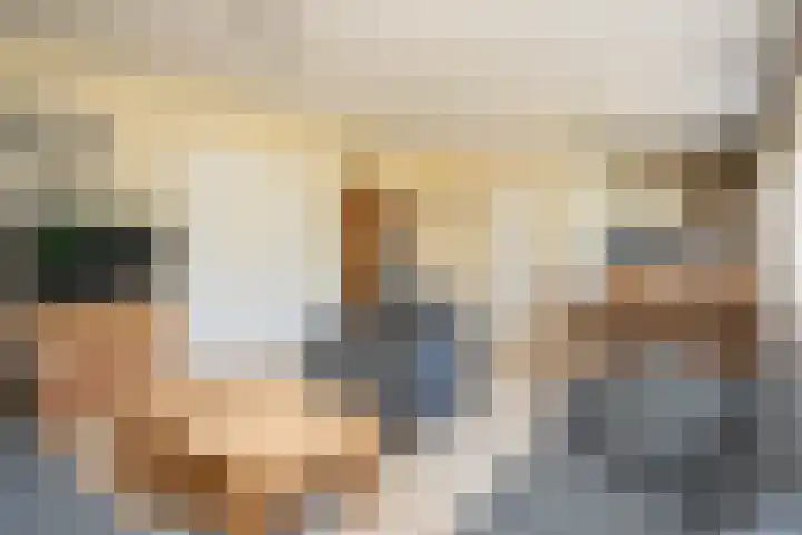 Slufterweg 64 De Cocksdorp thumbnail 9