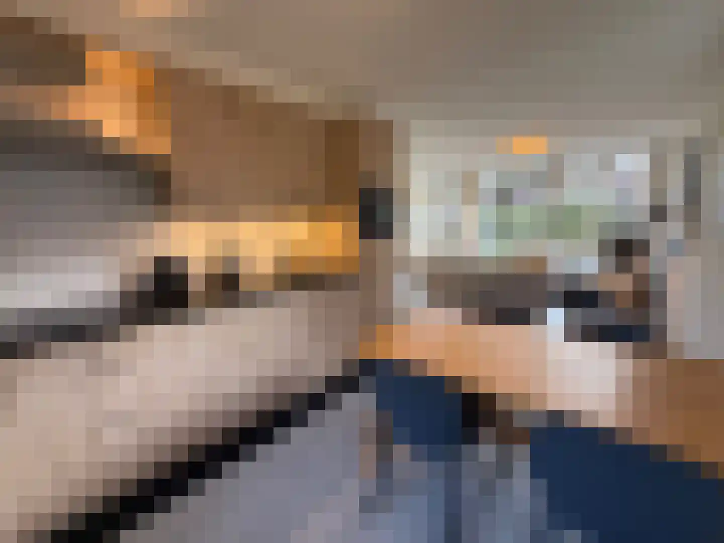 Slufterweg 8 De Cocksdorp thumbnail 10